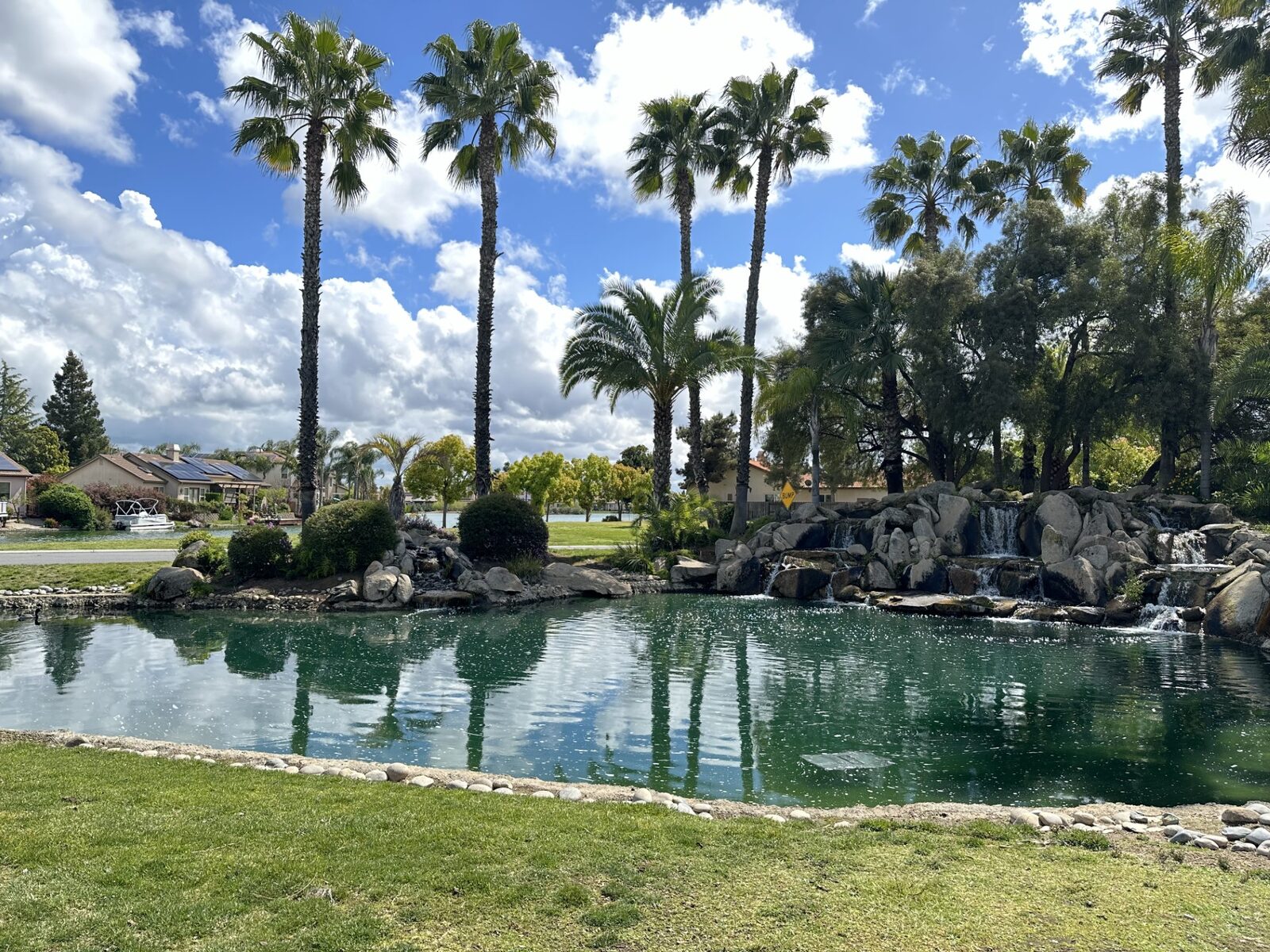 Palm trees and a landscaped waterfall pond in California